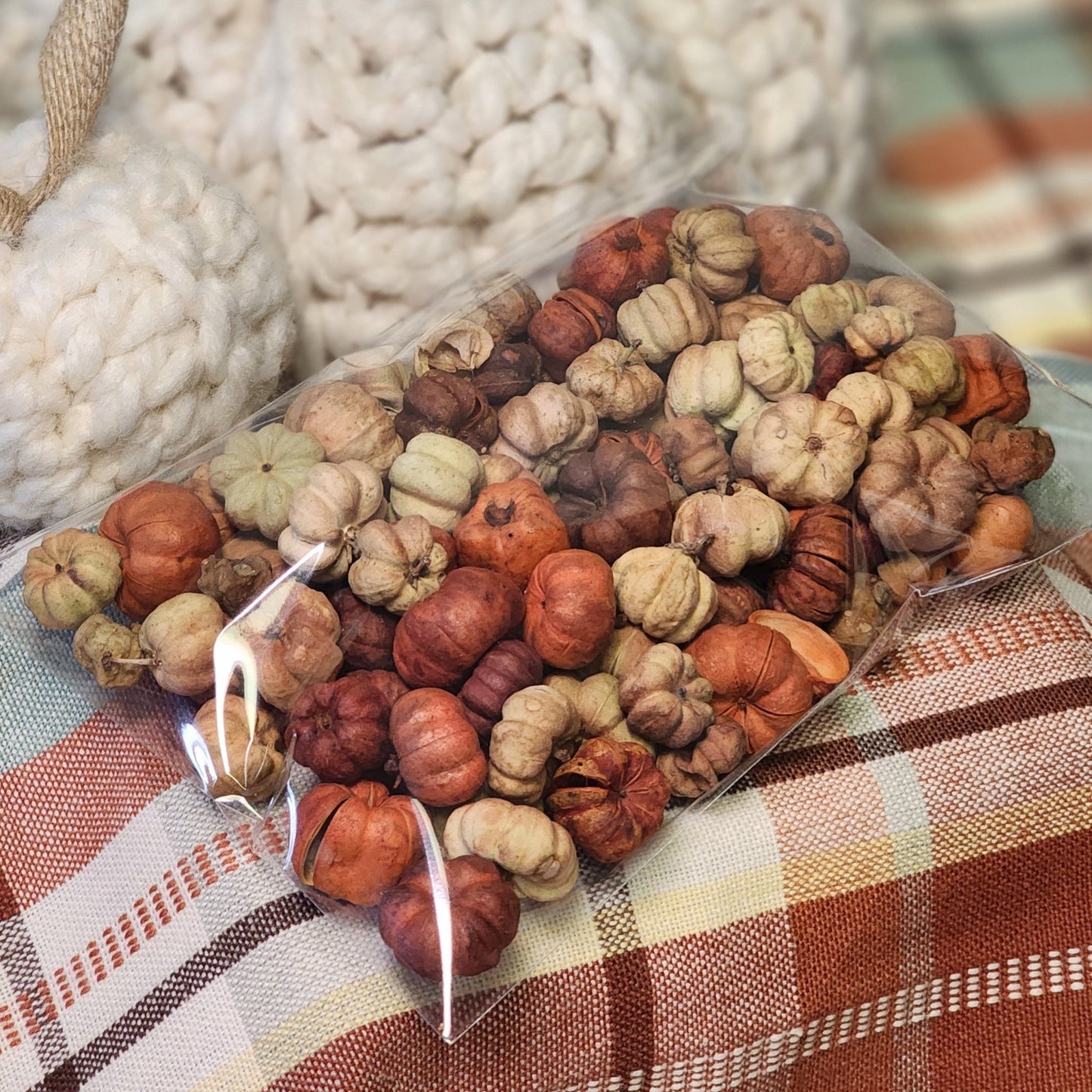 Mini Pumpkins Potpourri - Abboo Candle Co