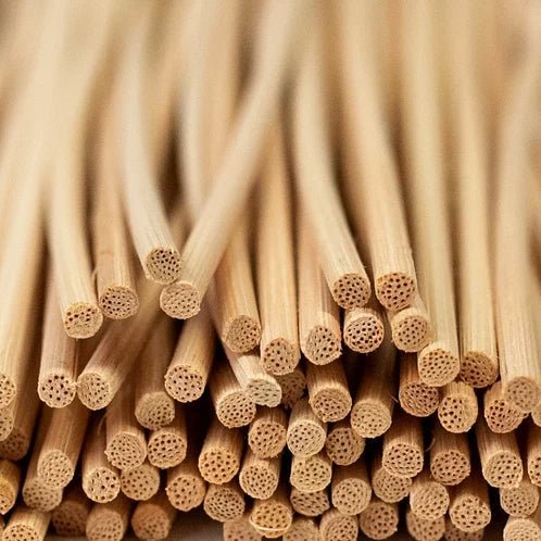 Reed Diffuser Home Fragrance - Cinnamon Apple and Peach - Abboo Candle Co