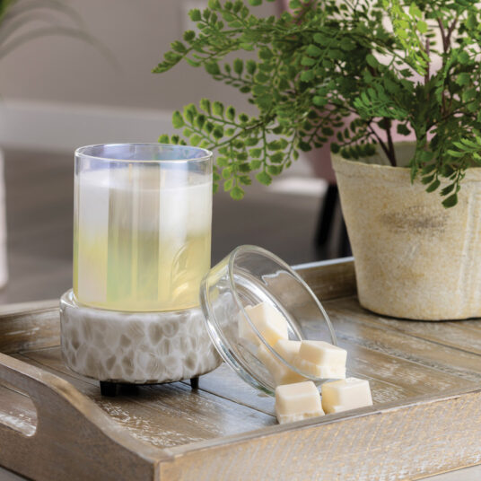 Swirl Glass 2-in-1 Wax Melt and Candle Warmer