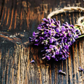 Lavender and Myrrh - Vault Collection