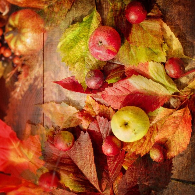 Cinnamon and Leaves - Vault Collection - Abboo Candle Co
