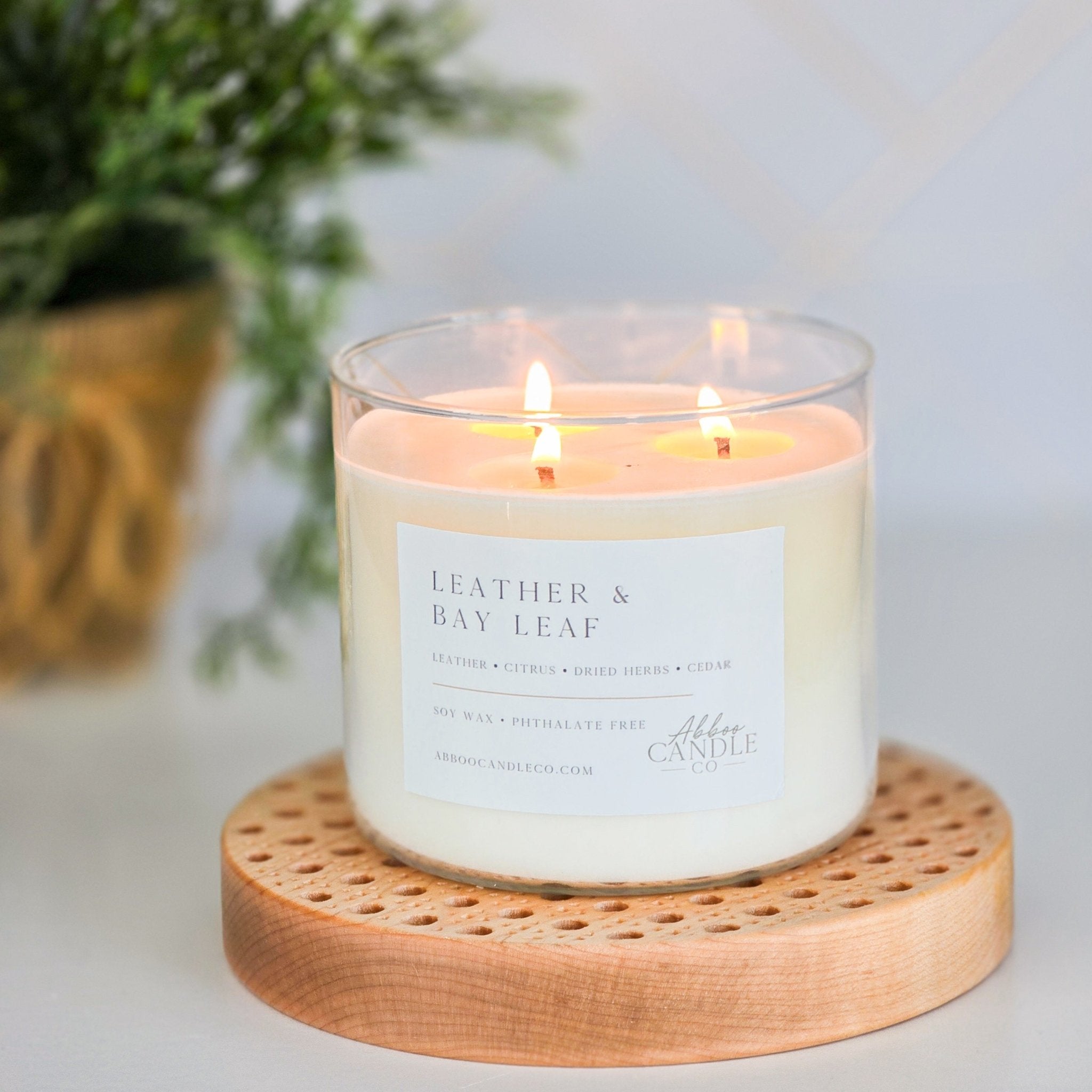 Leather and Bay Leaf 3 - Wick Candle - Abboo Candle Co