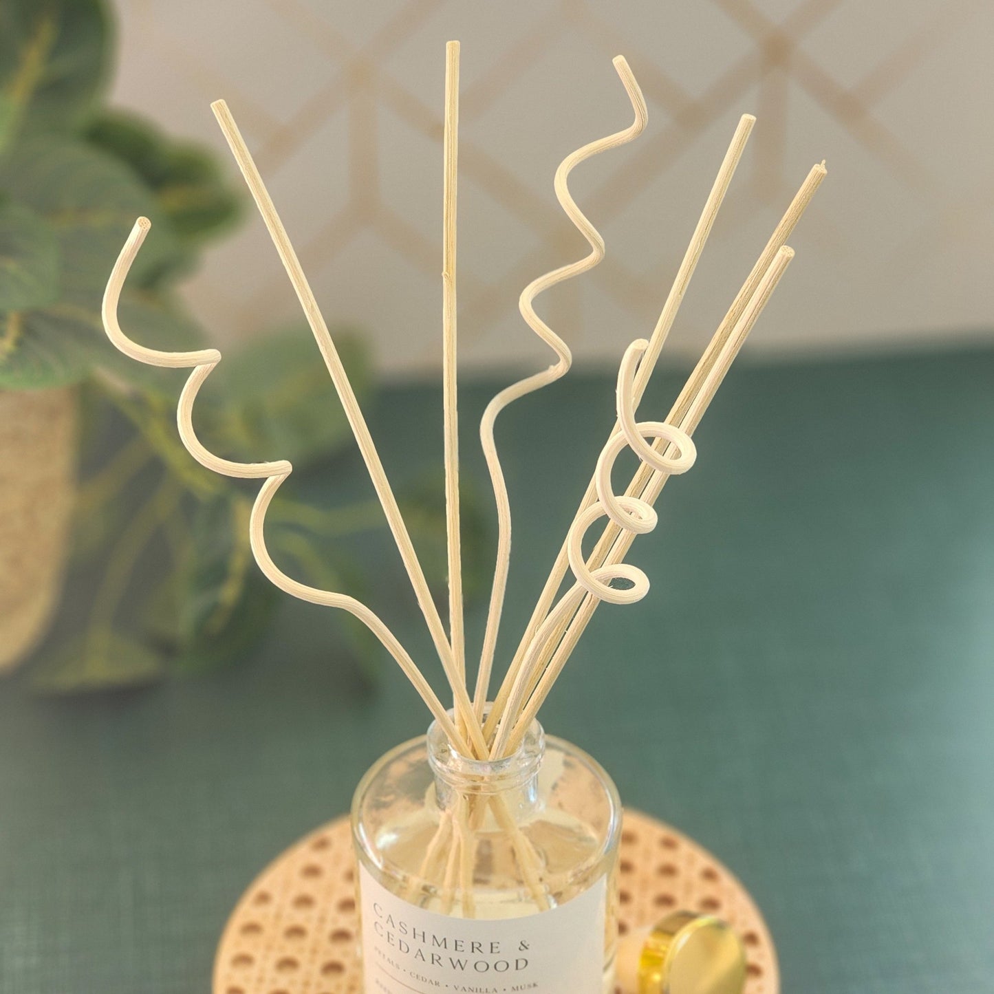 Reed Diffuser Spirals with Choice of Scent - Abboo Candle Co