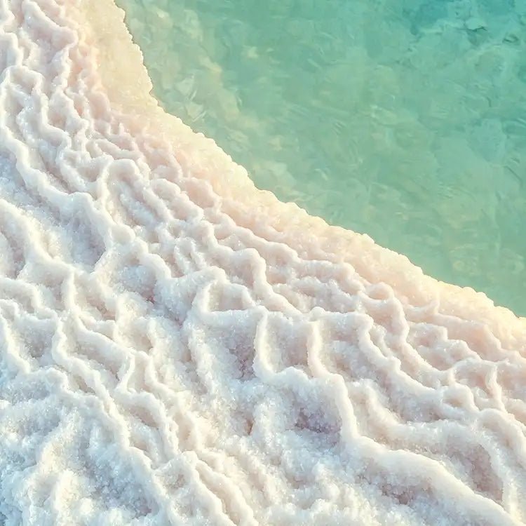 Sea Salt and Eucalyptus - Vault Collection - Abboo Candle Co