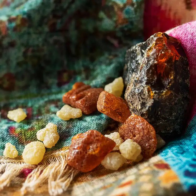 Spiced Amber and Cashmere - Vault Collection - Abboo Candle Co
